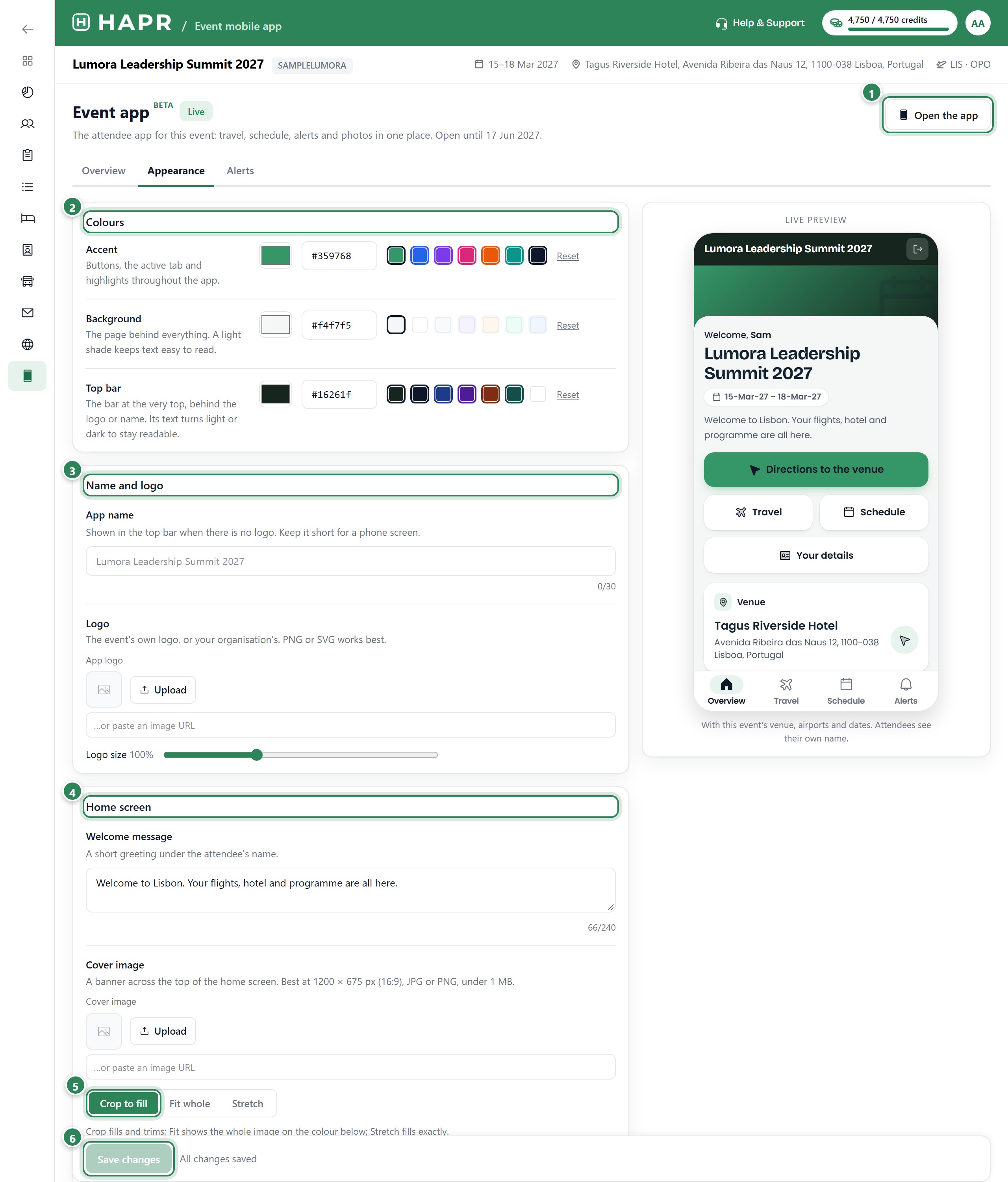 The Appearance tab, with a live preview of the home screen beside the form.